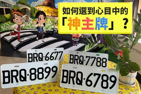 招財車牌號碼|車牌怎麼選比較好？數字五行解析吉凶秘訣完整教學